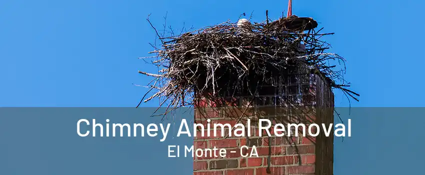 Chimney Animal Removal El Monte - CA