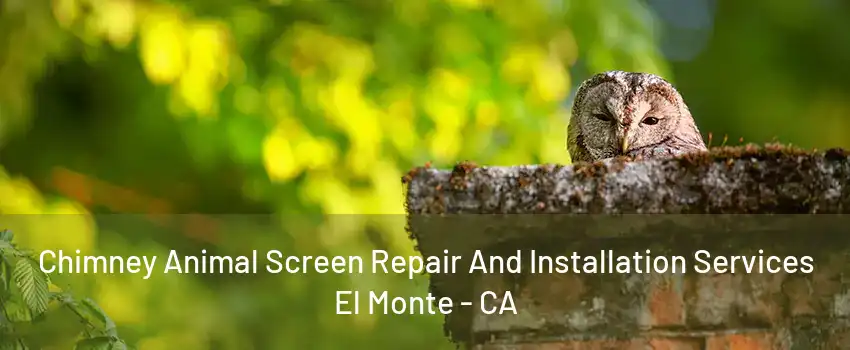 Chimney Animal Screen Repair And Installation Services El Monte - CA