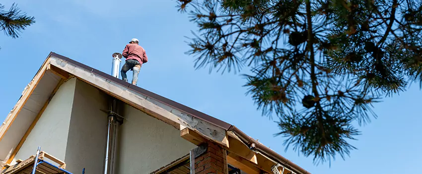 Birds Removal Contractors from Chimney in El Monte, CA