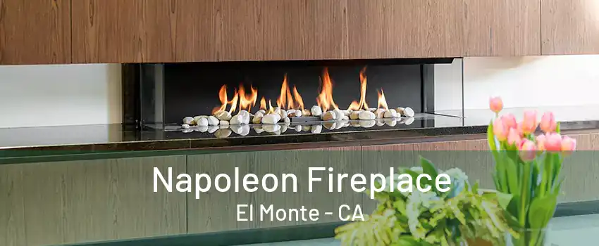 Napoleon Fireplace El Monte - CA